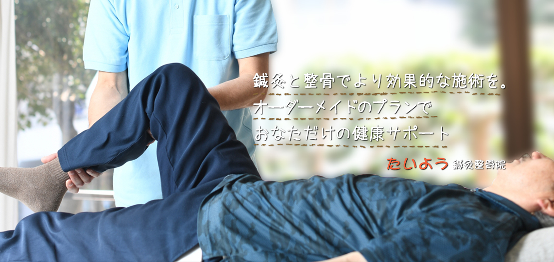 IƐłʓIȎ{pI[_[Ch̃vłȂ̌NT|[gy悤I@z